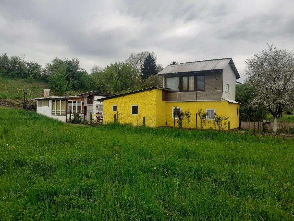 Yellow Fairy Tale Visoko